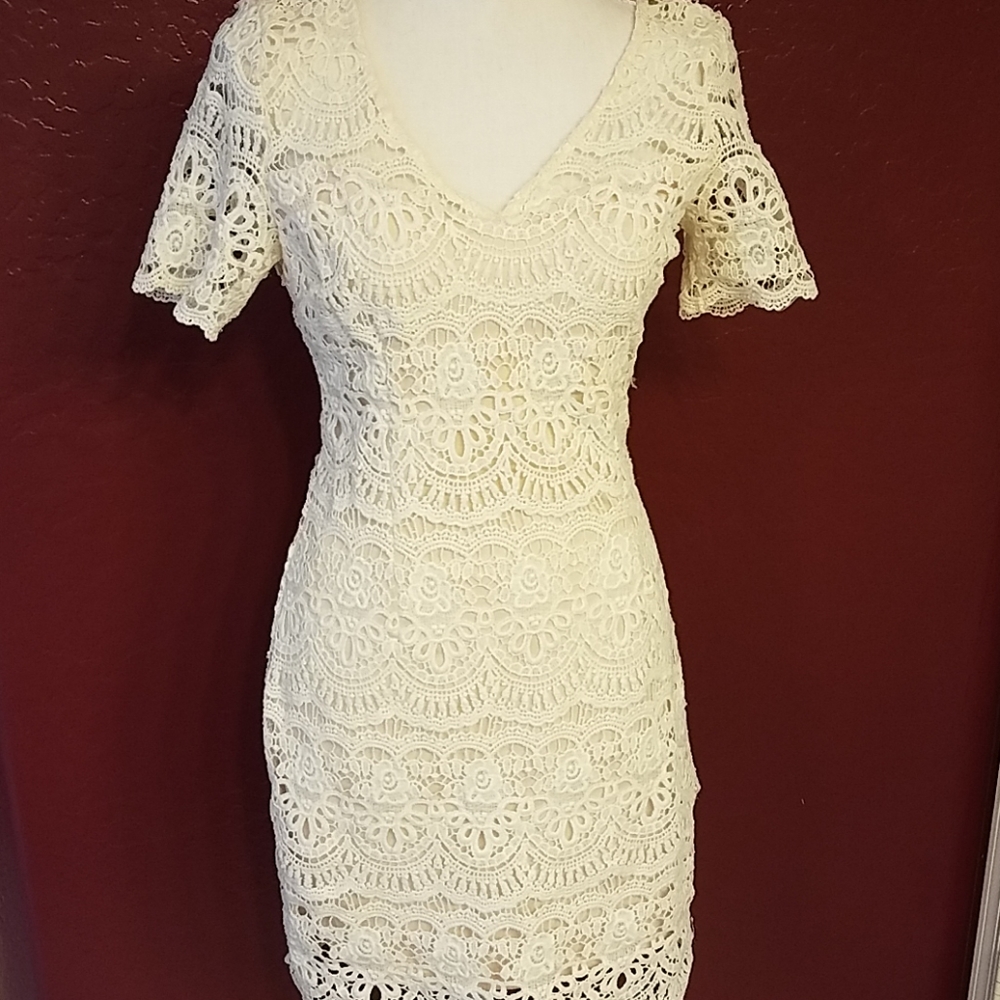 EUC Soieblu Off White Lace w/ Nude Lining Dress S